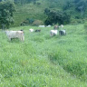 Meet your Posher, Memo